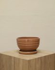 Bowl líneas