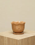 Maceta Petalo