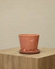 Vaso Liso - Orquidea