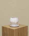 Vaso Orquídea