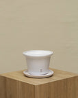 Vaso Liso con Borde