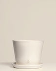 Vaso Liso