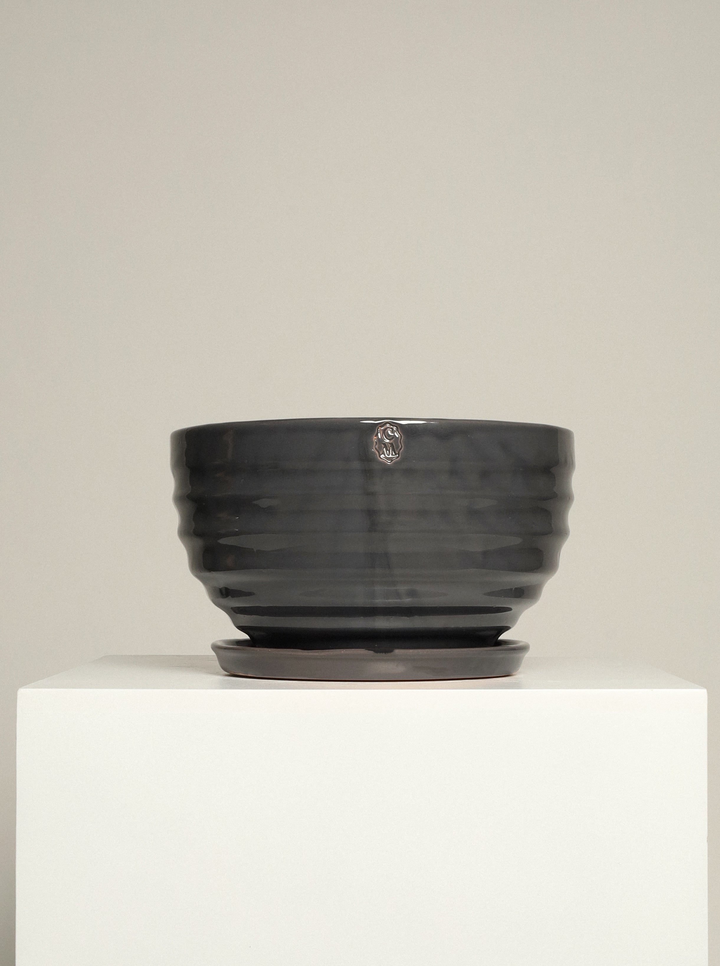 Bowl líneas