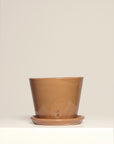 Vaso Liso
