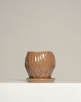 Vaso Orquídea