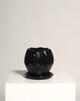 Vaso Orquídea