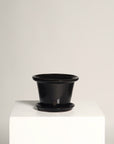 Vaso Liso con Borde