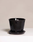 Vaso Liso - Orquidea