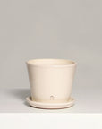 Vaso Liso