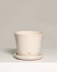 Vaso Liso