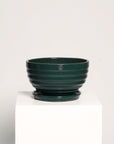 Bowl líneas