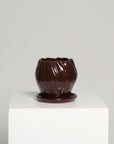 Vaso Orquídea
