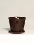 Vaso Liso - Orquidea