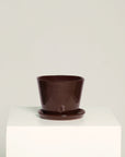 Vaso Liso