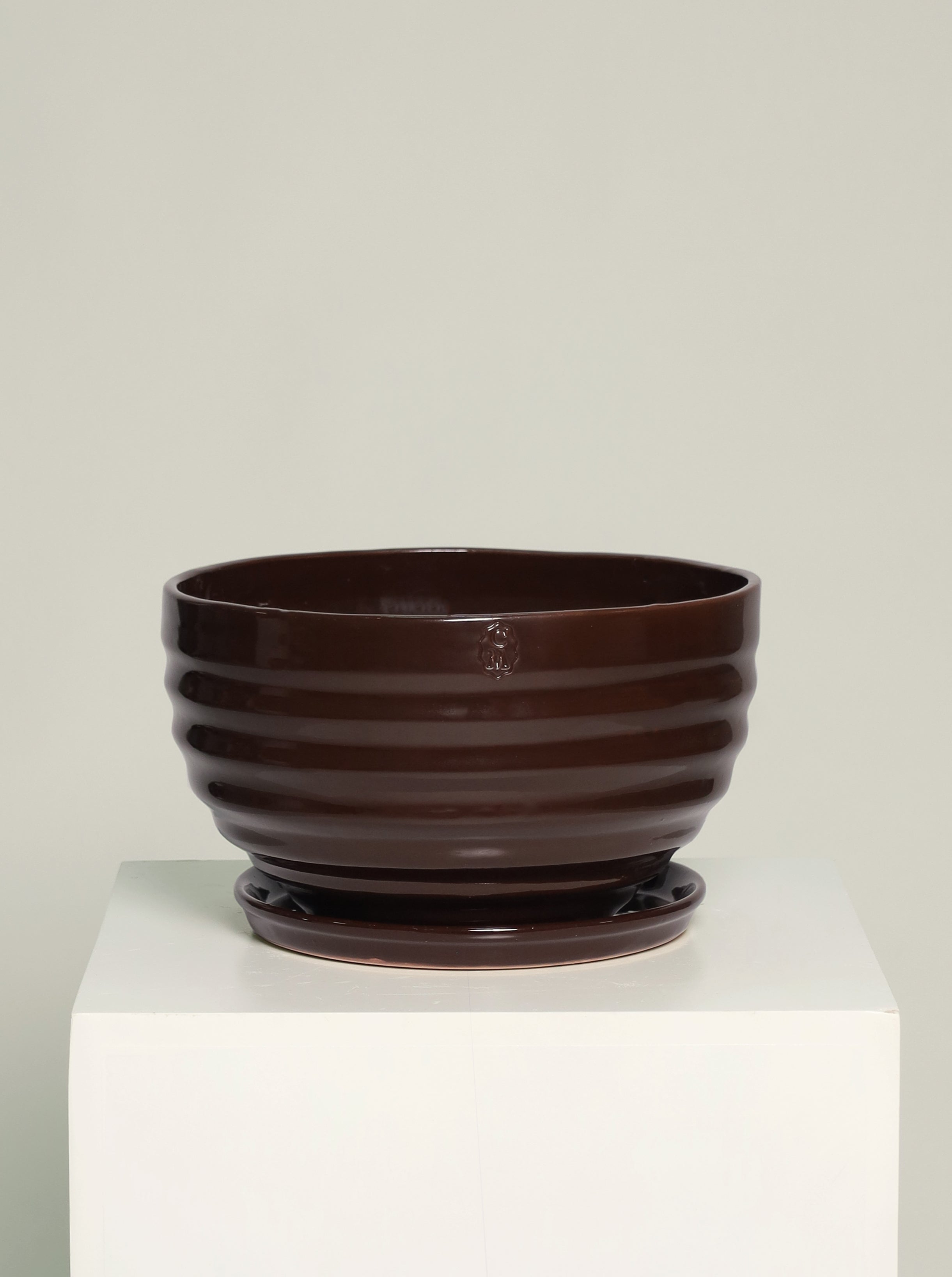Bowl líneas