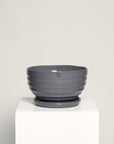 Bowl líneas