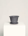 Vaso Liso con Borde