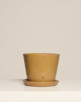 Vaso Liso