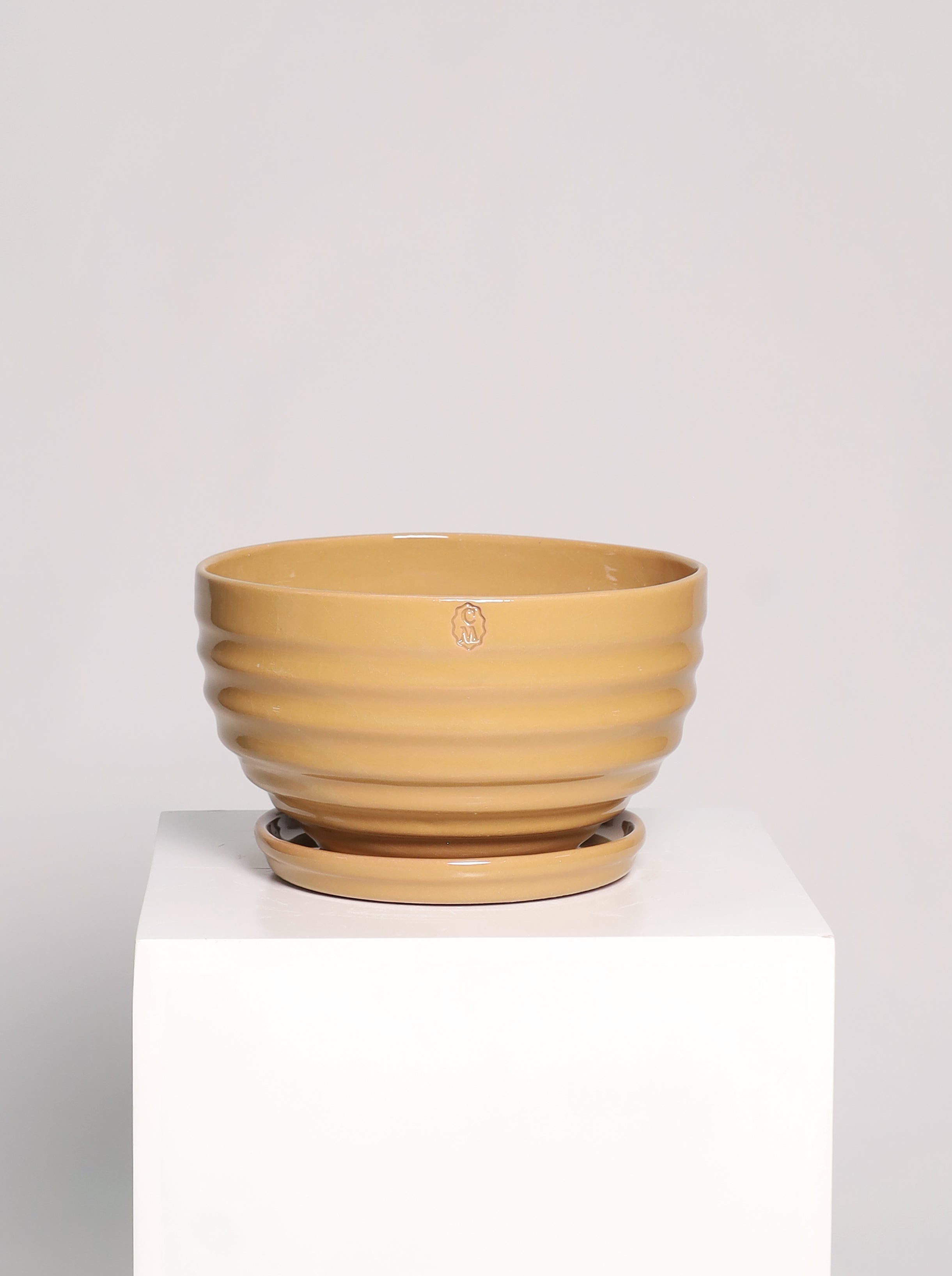 Bowl líneas
