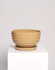Bowl líneas