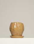 Vaso Orquídea
