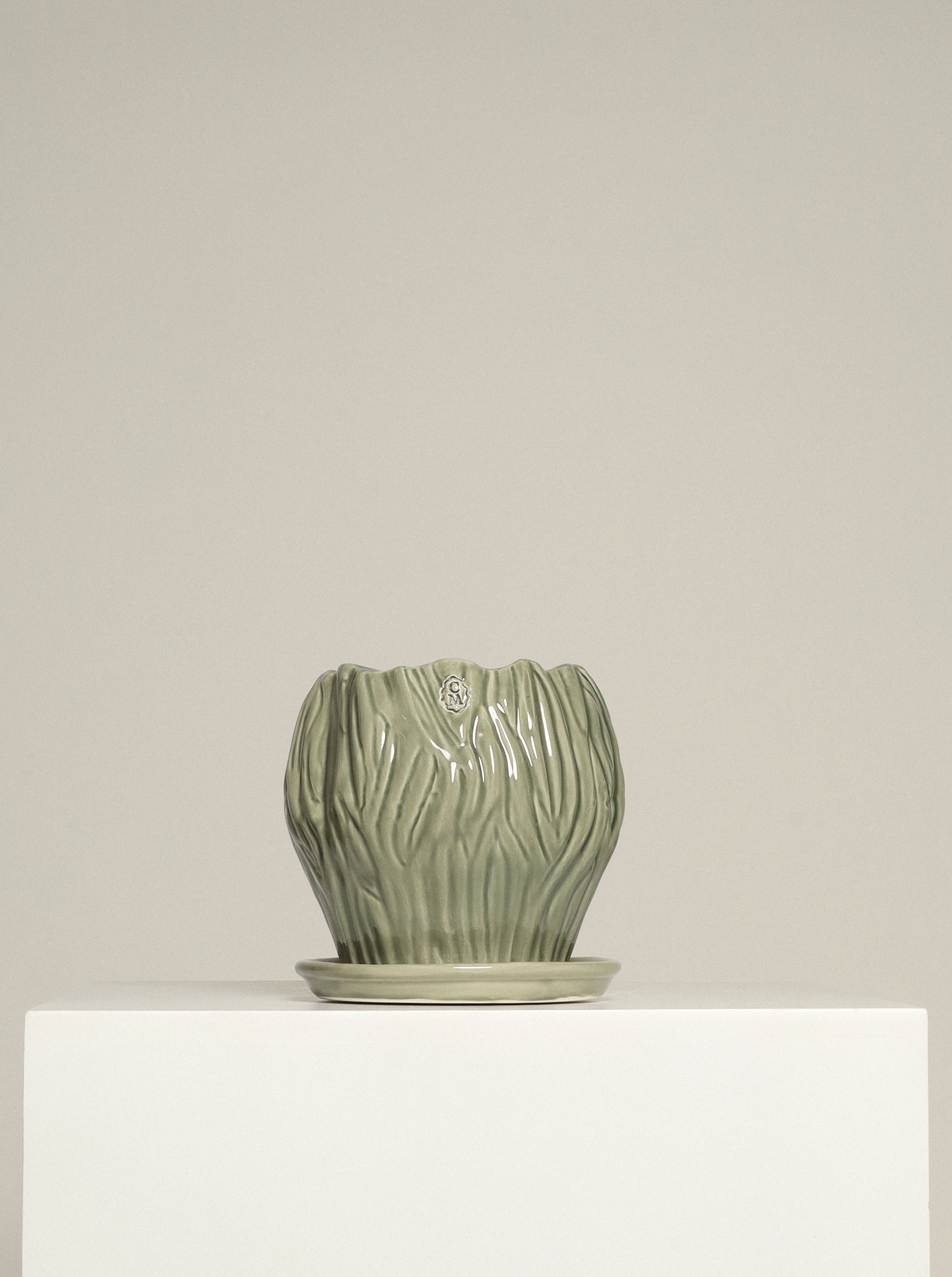 Vaso Orquídea