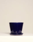 Vaso Liso