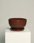 Bowl líneas