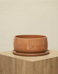 Bowl Liso Chico