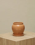 Cantarito