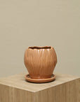 Vaso Orquídea