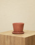 Vaso Liso