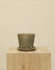 Vaso Liso - Orquidea