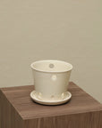 Vaso Liso - Orquidea