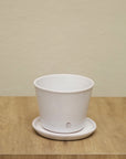 Vaso Liso
