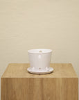 Vaso Liso - Orquidea