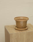 Vaso Liso con Borde