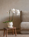 Vaso Orquídea