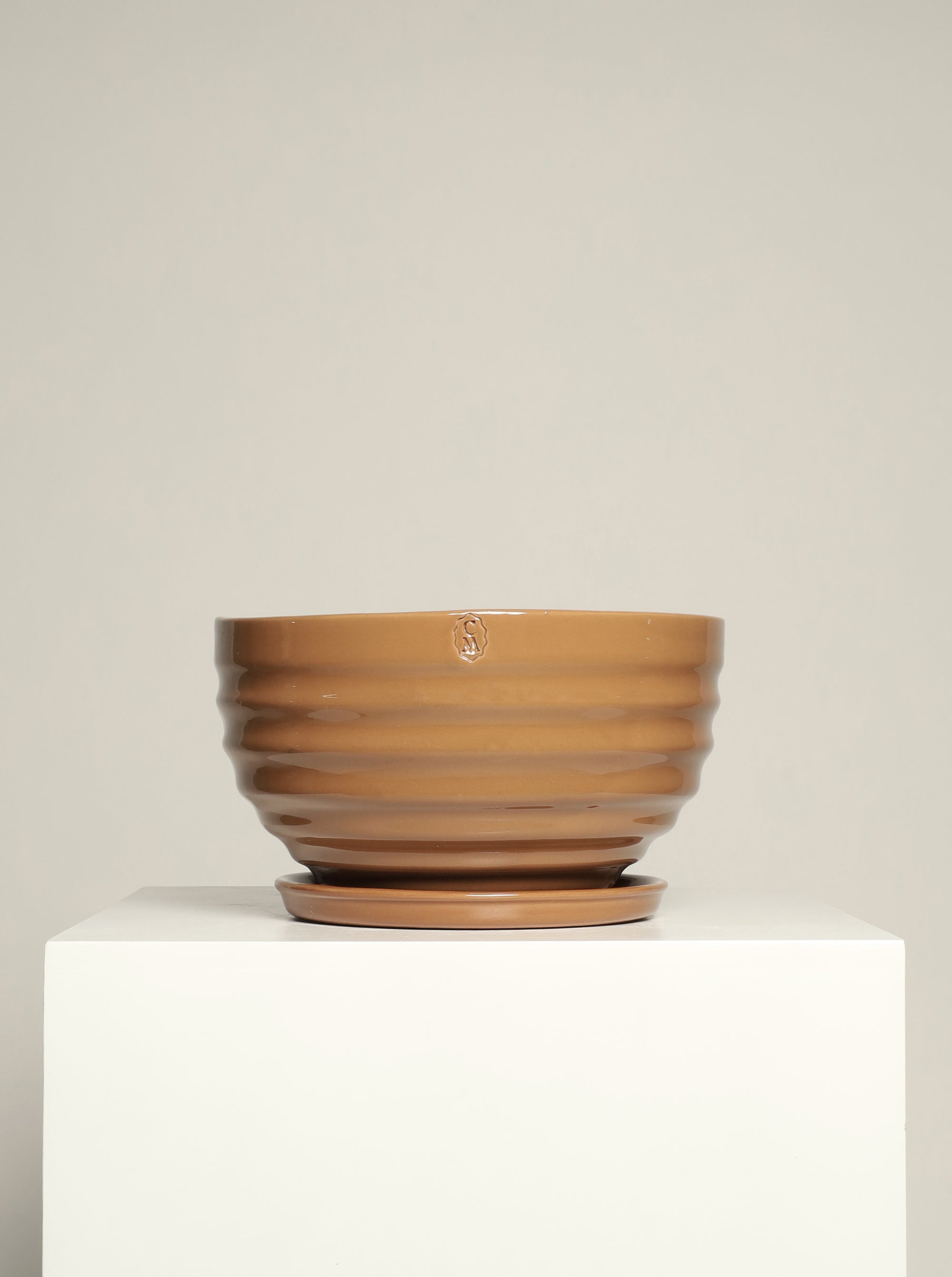 Bowl líneas