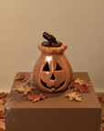 Calabaza Flore Chica