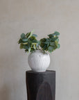 Florero Bola