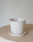 Vaso Liso