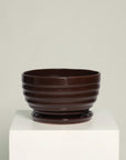 Bowl líneas