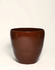 Maceton Tierra