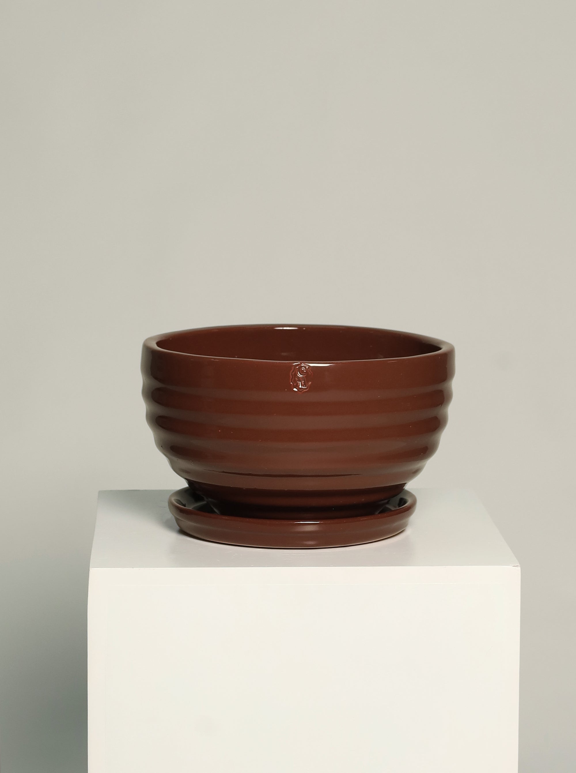 Bowl líneas